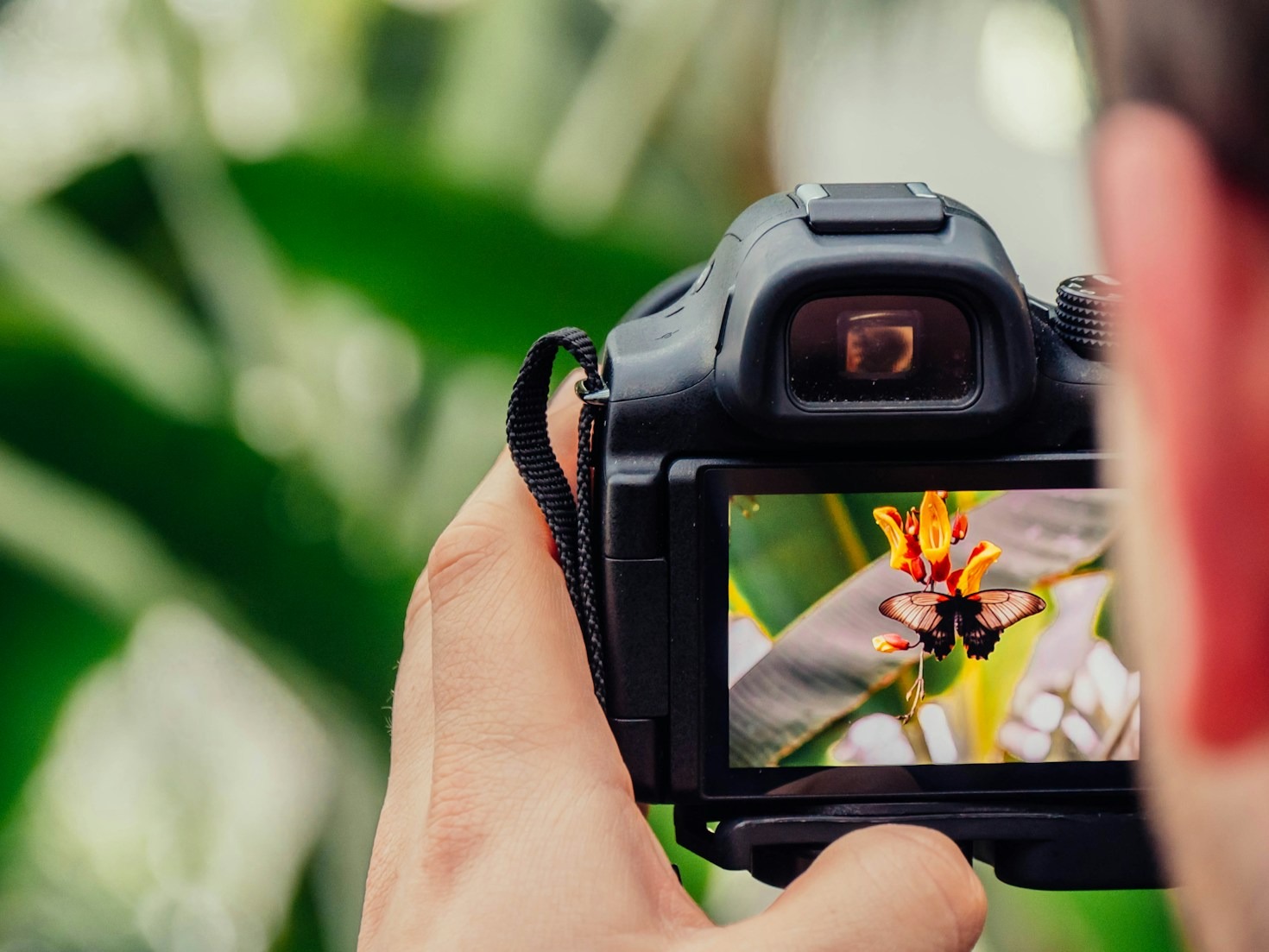 How to Edit Photos Like a Pro on a Budget