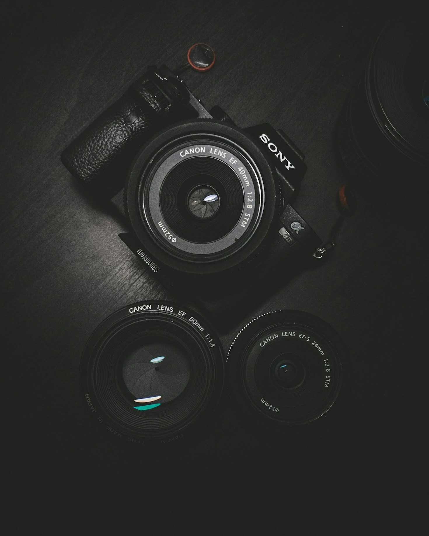 A Beginner’s Guide to Choosing the Right Camera